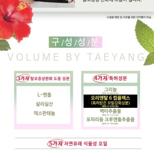 볼륨바이프로 볼륨 앤 샤인 헤어 볼류머 200ml x 2개