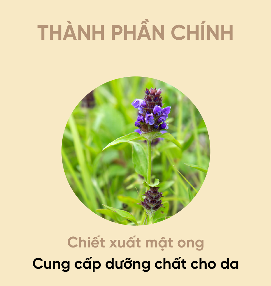 2cf7016d5ee07f519dcaea4374ba0fa1_1741084976_4038.png